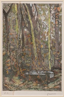 Remo Zanerini, "In the Wood"