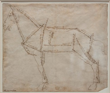 "Measured Drawing of a Horse in Profile View", by Andrea Del Verrocchio
