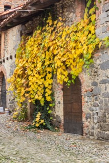 Candelo, Ricetto (fortified structure)