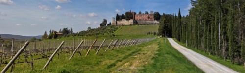 Gaiole in Chianti