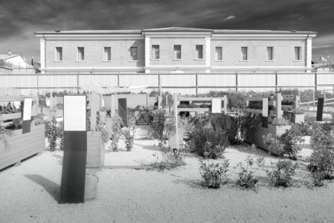 MEIS, National Museum of Italian Judaism and the Shoah in the town of Ferrara, Italy
