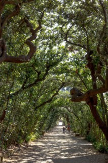 Jardin de Boboli à Florence