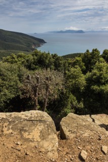 Baratti and Populonia Archeological Park