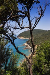 Medieval village of Populonia, Italy