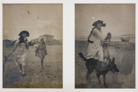 “Ragazza sulla spiaggia con cane"