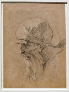 “Tête d'un vieil homme” de Sebastiano Ricci