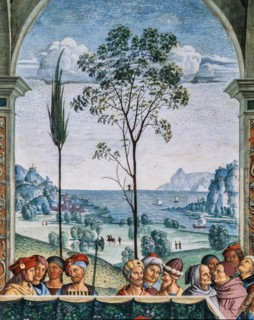 Fresco on the South-West wall of the Piccolomini Library in Siena