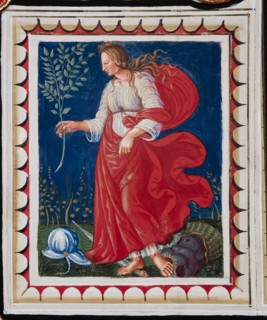 Décor du plafond de la Libreria Piccolomini à Sienne