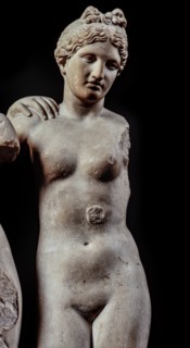 Les Trois Grâces, de la Libreria Piccolomini de Sienne