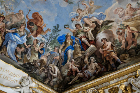 Palazzo Medici Riccardi, Galleria degli specchi (o Sala Luca Giordano): “Allegoria della Fortezza”,