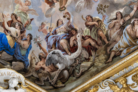 Palazzo Medici Riccardi, Galleria degli specchi (o Sala Luca Giordano): “Allegoria della