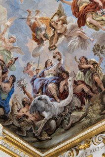 Palazzo Medici Riccardi, Galleria degli specchi (o Sala Luca Giordano): “Allegoria della