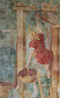Pisa, Monumental Cemetery: 
 “Grape Harvest and Drunkenness of Noah”, frescoes by Benozzo