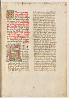 Erbario di Trento (Manoscritto n° 1591), XVI secolo, carta 44 recto.

[ENG]
Herbarium of Trento