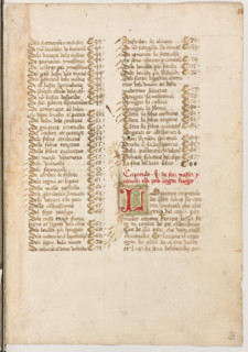 Erbario di Trento (Manoscritto n° 1591), XVI secolo, carta 45 recto.

[ENG]
Herbarium of Trento