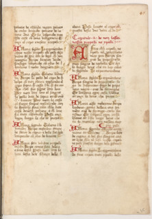 Erbario di Trento (Manoscritto n° 1591), XVI secolo, carta 46 recto.

[ENG]
Herbarium of Trento