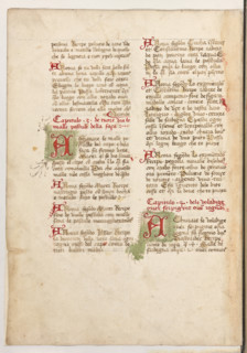 Erbario di Trento (Manoscritto n° 1591), XVI secolo, carta 46 verso.

[ENG]
Herbarium of Trento