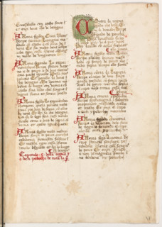 Erbario di Trento (Manoscritto n° 1591), XVI secolo, carta 47 recto.

[ENG]
Herbarium of Trento