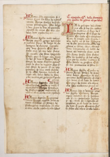 Erbario di Trento (Manoscritto n° 1591), XVI secolo, carta 47 verso.

[ENG]
Herbarium of Trento