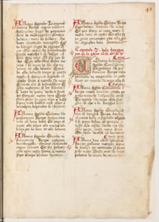 Erbario di Trento (Manoscritto n° 1591), XVI secolo, carta 48 recto.

[ENG]
Herbarium of Trento