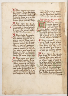 Erbario di Trento (Manoscritto n° 1591), XVI secolo, carta 50 verso.

[ENG]
Herbarium of Trento