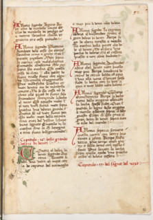 Erbario di Trento (Manoscritto n° 1591), XVI secolo, carta 51 recto.

[ENG]
Herbarium of Trento