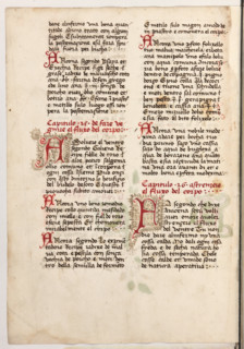Erbario di Trento (Manoscritto n° 1591), XVI secolo, carta 53 verso.

[ENG]
Herbarium of Trento