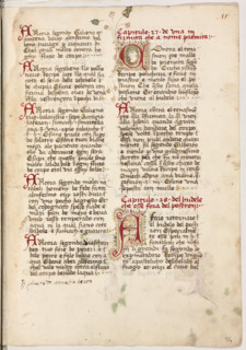 Erbario di Trento (Manoscritto n° 1591), XVI secolo, carta 54 recto.

[ENG]
Herbarium of Trento
