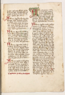 Erbario di Trento (Manoscritto n° 1591), XVI secolo, carta 55 recto.

[ENG]
Herbarium of Trento