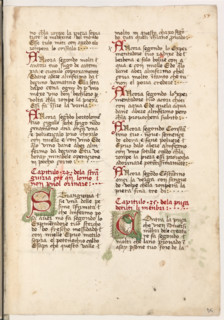 Erbario di Trento (Manoscritto n° 1591), XVI secolo, carta 56 recto.

[ENG]
Herbarium of Trento