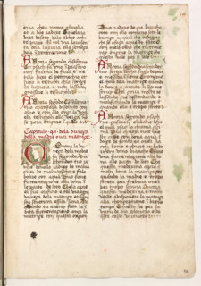 Erbario di Trento (Manoscritto n° 1591), XVI secolo, carta 58 recto.

[ENG]
Herbarium of Trento