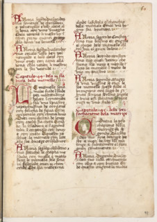 Erbario di Trento (Manoscritto n° 1591), XVI secolo, carta 59 recto.

[ENG]
Herbarium of Trento