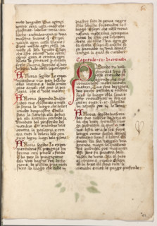 Erbario di Trento (Manoscritto n° 1591), XVI secolo, carta 61 recto.

[ENG]
Herbarium of Trento