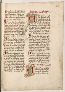 Erbario di Trento (Manoscritto n° 1591), XVI secolo, carta 62 recto.

[ENG]
Herbarium of Trento