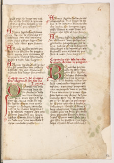 Erbario di Trento (Manoscritto n° 1591), XVI secolo, carta 63 recto.

[ENG]
Herbarium of Trento