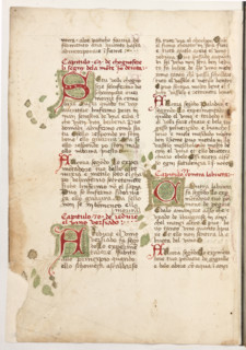 Erbario di Trento (Manoscritto n° 1591), XVI secolo, carta 63 verso.

[ENG]
Herbarium of Trento
