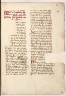 Erbario di Trento (Manoscritto n° 1591), XVI secolo, carta 64 recto.

[ENG]
Herbarium of Trento