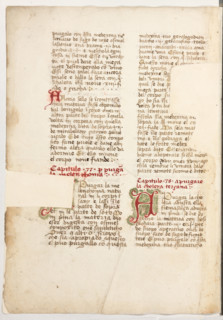 Erbario di Trento (Manoscritto n° 1591), XVI secolo, carta 64 verso.

[ENG]
Herbarium of Trento