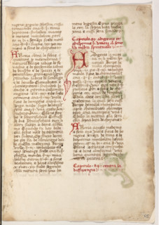 Erbario di Trento (Manoscritto n° 1591), XVI secolo, carta 65 recto.

[ENG]
Herbarium of Trento