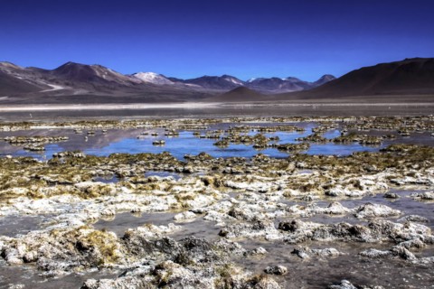 Salar de Atacama, Chile
