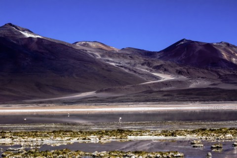 Salar de Atacama, Chile