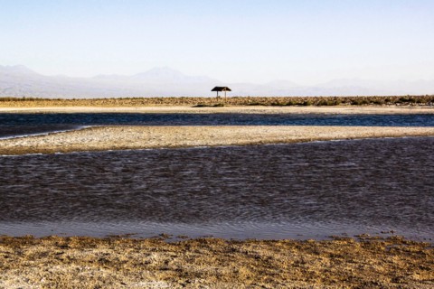 Salar de Atacama, Chile