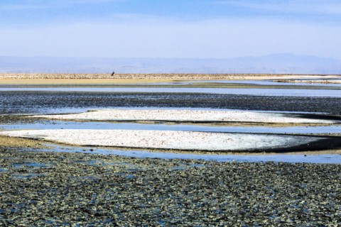 Salar de Atacama, Chile