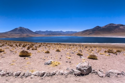 Miscanti lagoon, Atacama desert, Chili