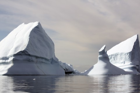 Icebergs in Greenland
