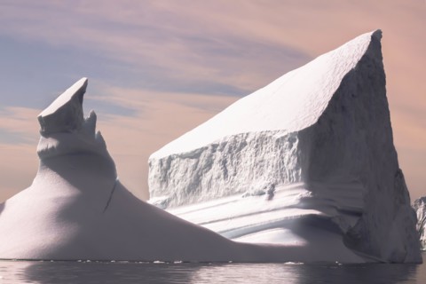 Icebergs in Greenland