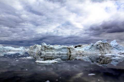 Icebergs and pieces of ice in Greenland