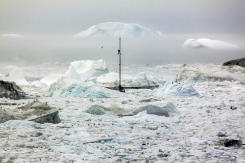 A boat sailing on the pack ice, Disko bay, Ilulissat, Groenland