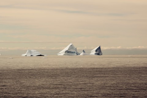 Icebergs in Greenland