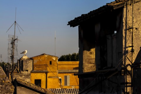 View from a hotel, Rome, Italy